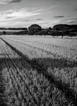 Agricultura de alta precisão